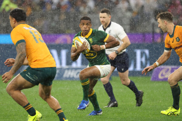 Who’s within the South Africa squad for the Autumn Nations Take a look at Collection?