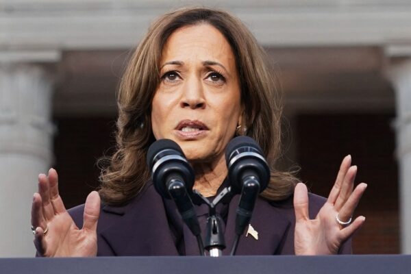 US election end result: The place did Harris and her marketing campaign go unsuitable? | US Election 2024 Information