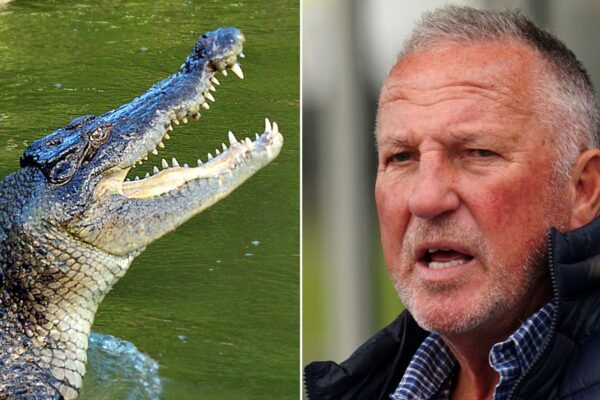 England cricket legend Sir Ian Botham falls into crocodile-infested waters – and is rescued by former rival Merv Hughes | Offbeat Information