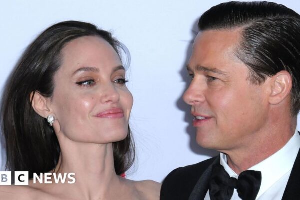 Why has the Pitt and Jolie divorce taken so long?