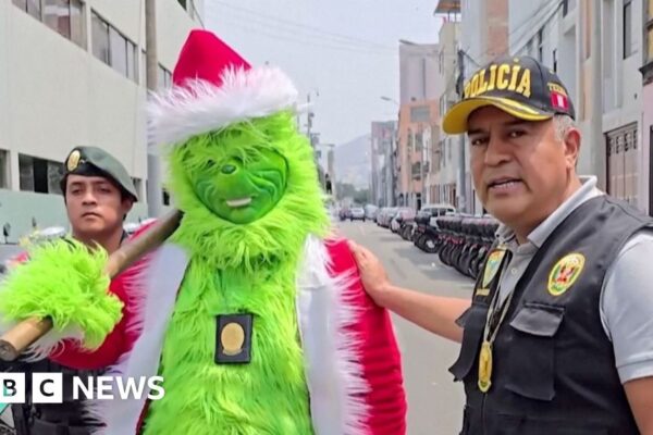 Police officer dressed as the Grinch leads drug raid in Peru