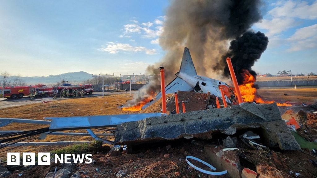 At least 47 dead at Muan airport