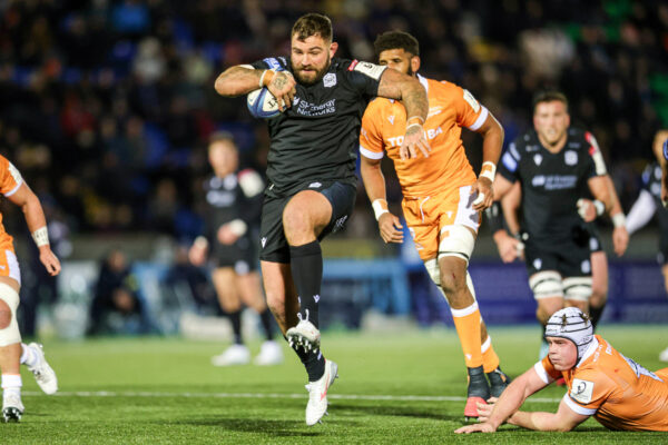 Watch Toulon v Glasgow Warriors: dwell stream, TV channel, kick-off time