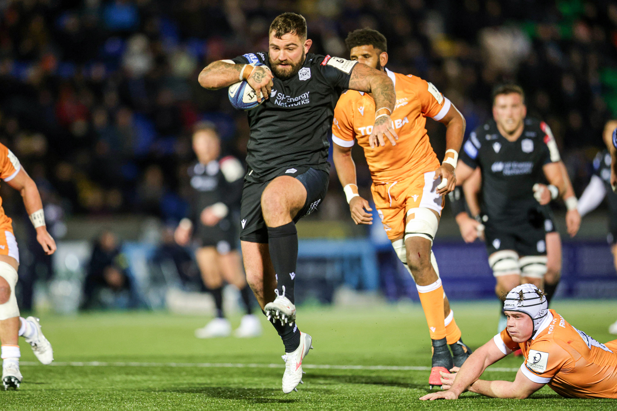 Watch Toulon v Glasgow Warriors: live stream, TV channel, kick-off time