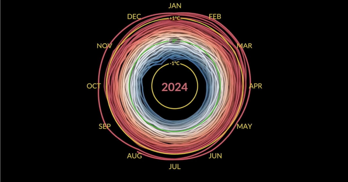 What climate records were broken in 2024? | Climate News