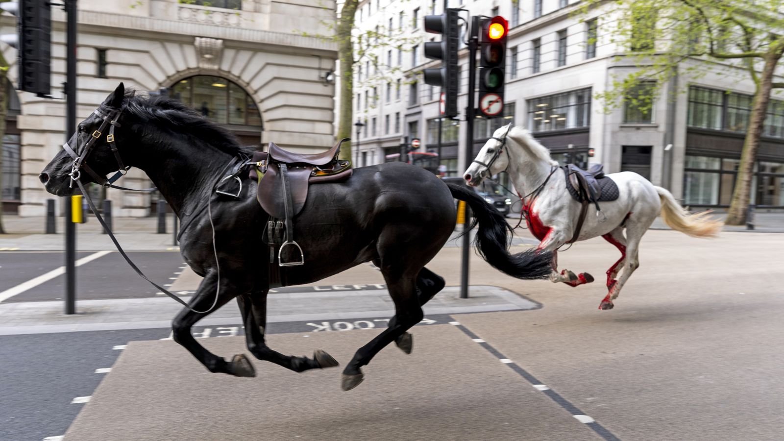 Flooding, the Northern Lights and a milkshake to the face: 2024 in pictures | World News