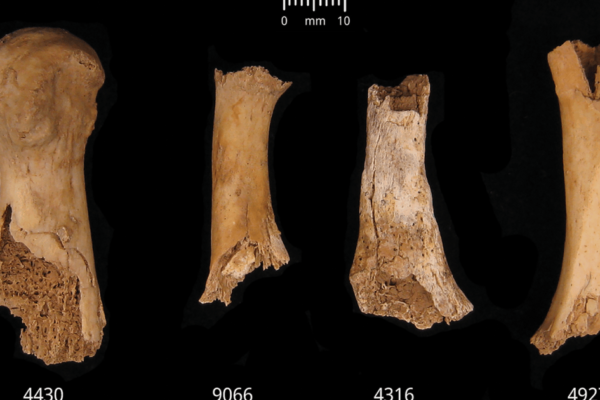 Cannibalism in Britain? How early Bronze Age bones reveal a grim tale | History News