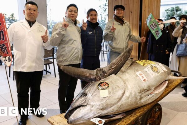 Bike-sized tuna bought to Tokyo sushi restaurateurs for .3m