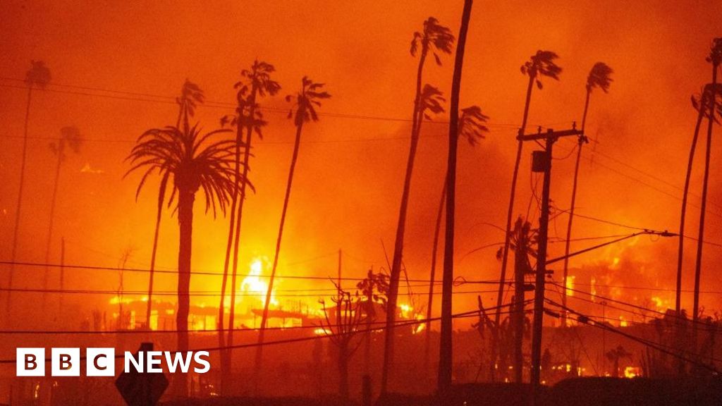 Palisades fire burns homes as thousands evacuate in LA