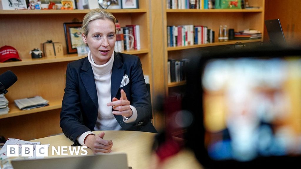 Musk interviews German far-right frontwoman Alice Weidel