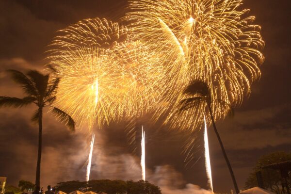 Fireworks in Hawaii home spark deadly explosion, killing at least three | Crime News