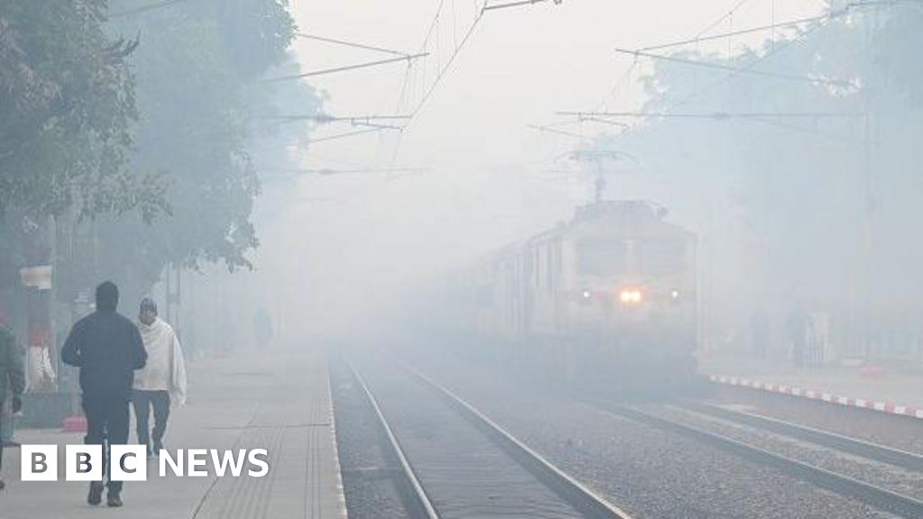 Smog causes travel chaos in Indian capital Delhi