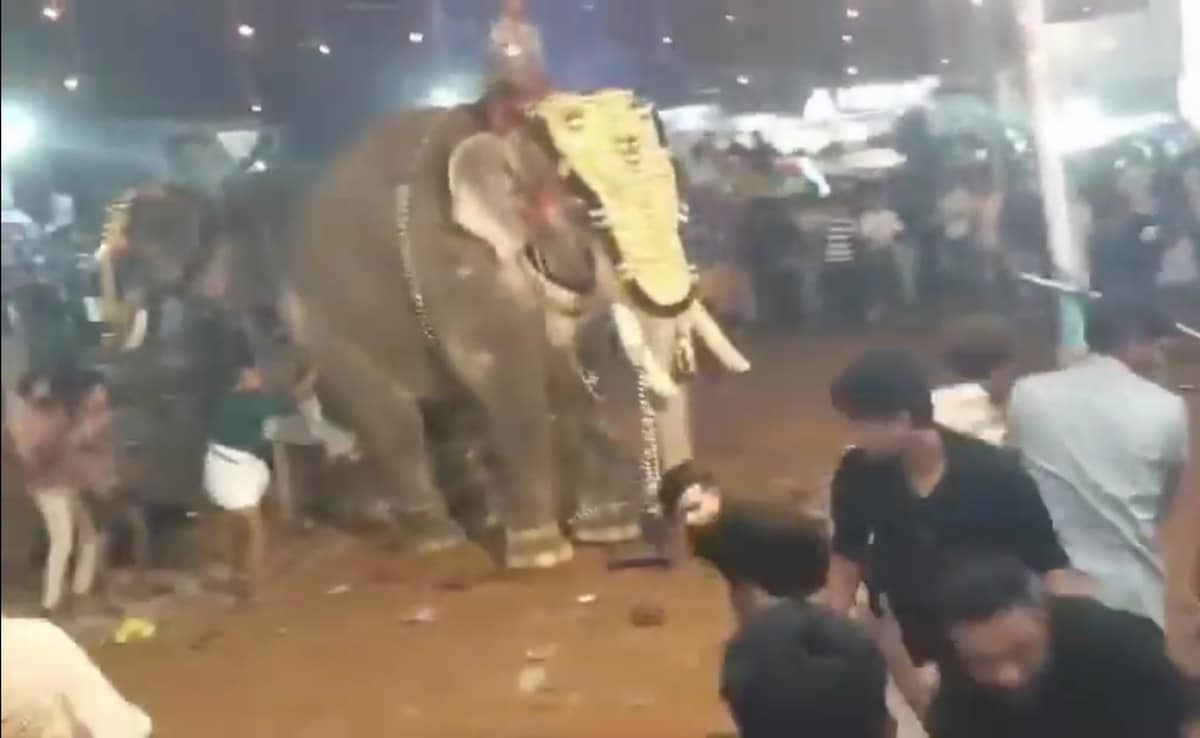 Elephant Rampage Injures Worshippers at Indian Temple