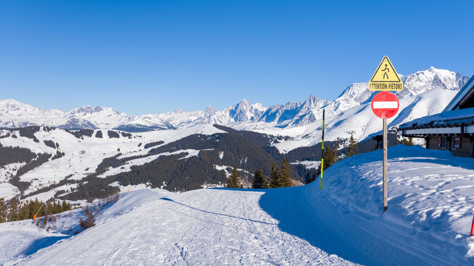 British woman dies in French Alps after crashing into another skier | World News