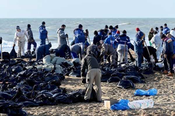 Greater than 30 dolphins wash up lifeless on seaside after oil spill close to southern Russia | World Information