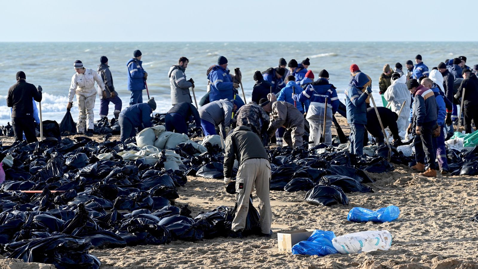 More than 30 dolphins wash up dead on beach after oil spill near southern Russia | World News