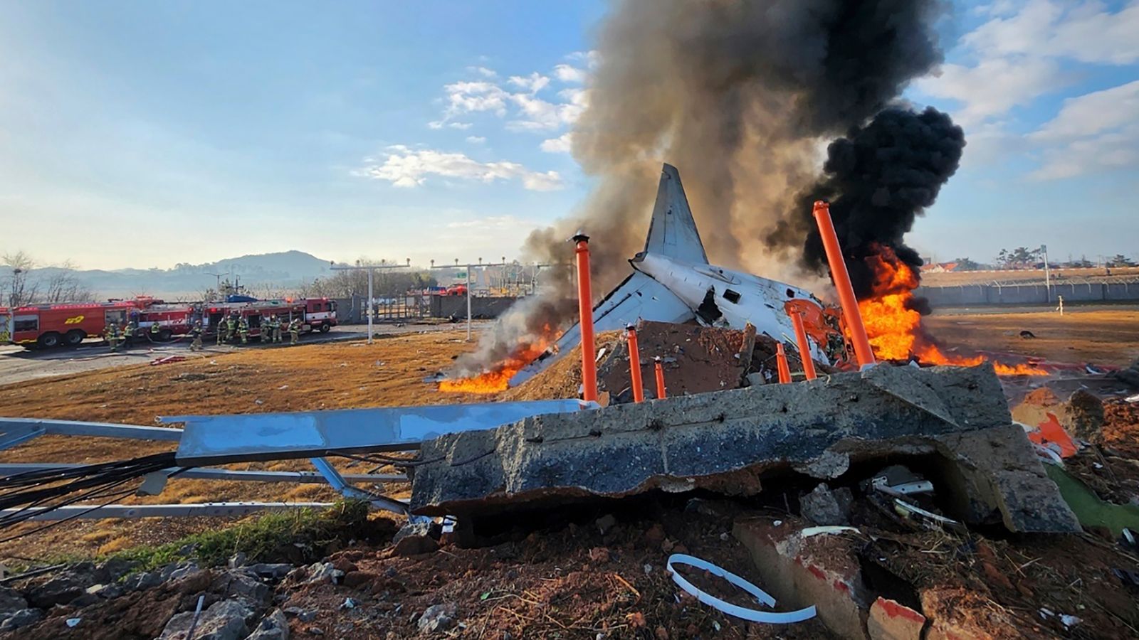 Bird feathers found in South Korea passenger jet engine after crash which killed 179 | World News